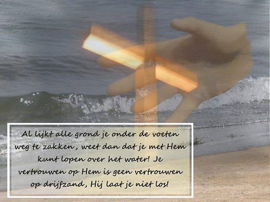 425316_534637063267453_1706118631_n