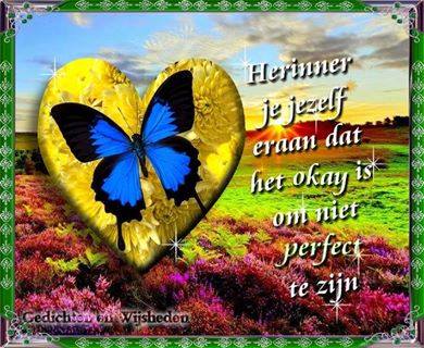 1509704_740115409334147_786885929_n