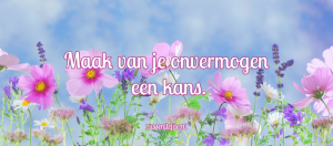 Maak-van-je-onvermogen____-862x381