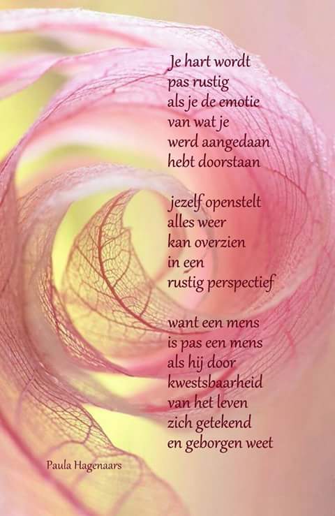 12376383_911671372286723_233256397790559065_n