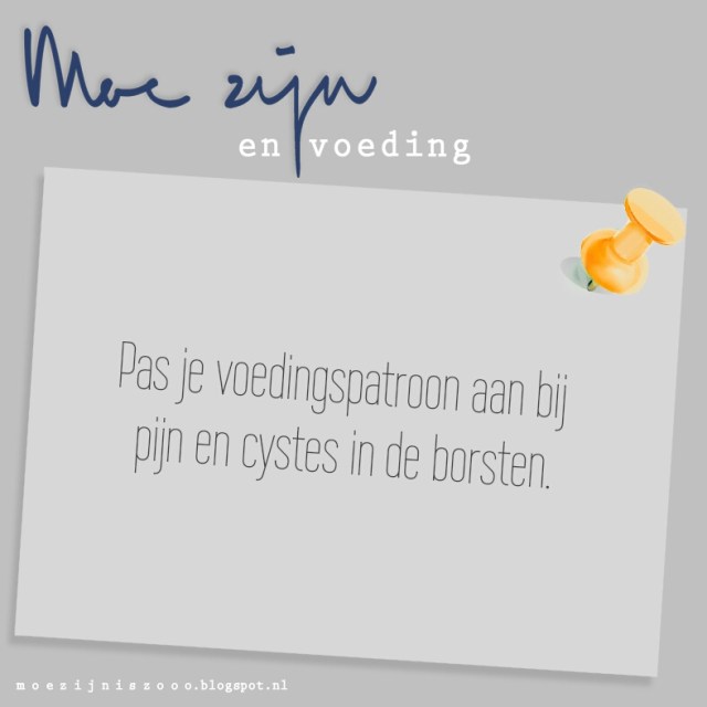 12963680_992379864179132_6735719125182492603_n