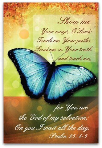 1ca6e817a6c3bfecd65cdd20ad522218