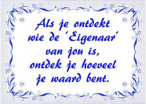 944429_537351142996045_2007973589_n