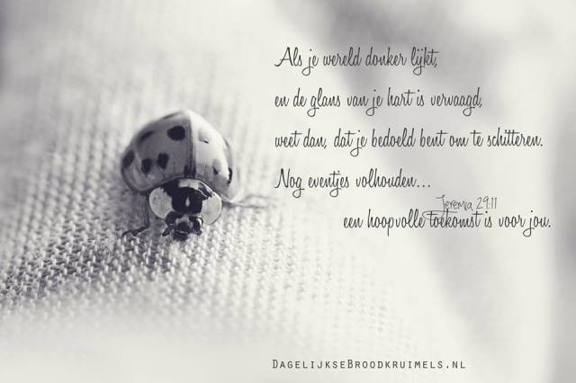 13445518_566559410182409_8340872459424206133_n