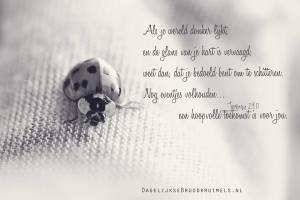 13445518_566559410182409_8340872459424206133_n