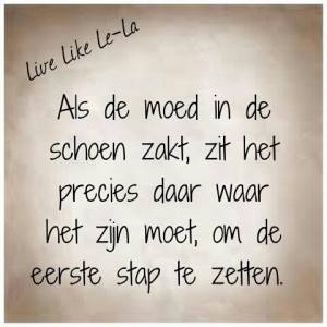 12345554_1654963871426985_4816024834325922399_n