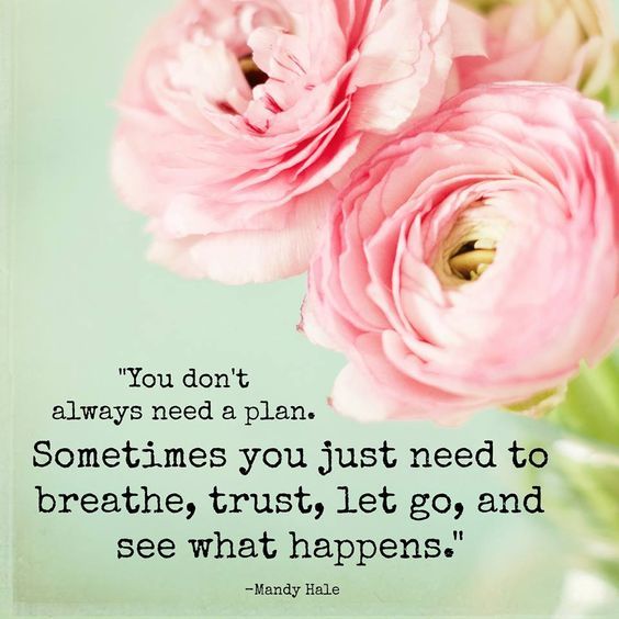 9aa0016e954918a3c145aa229c5547fd