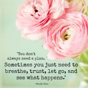 9aa0016e954918a3c145aa229c5547fd