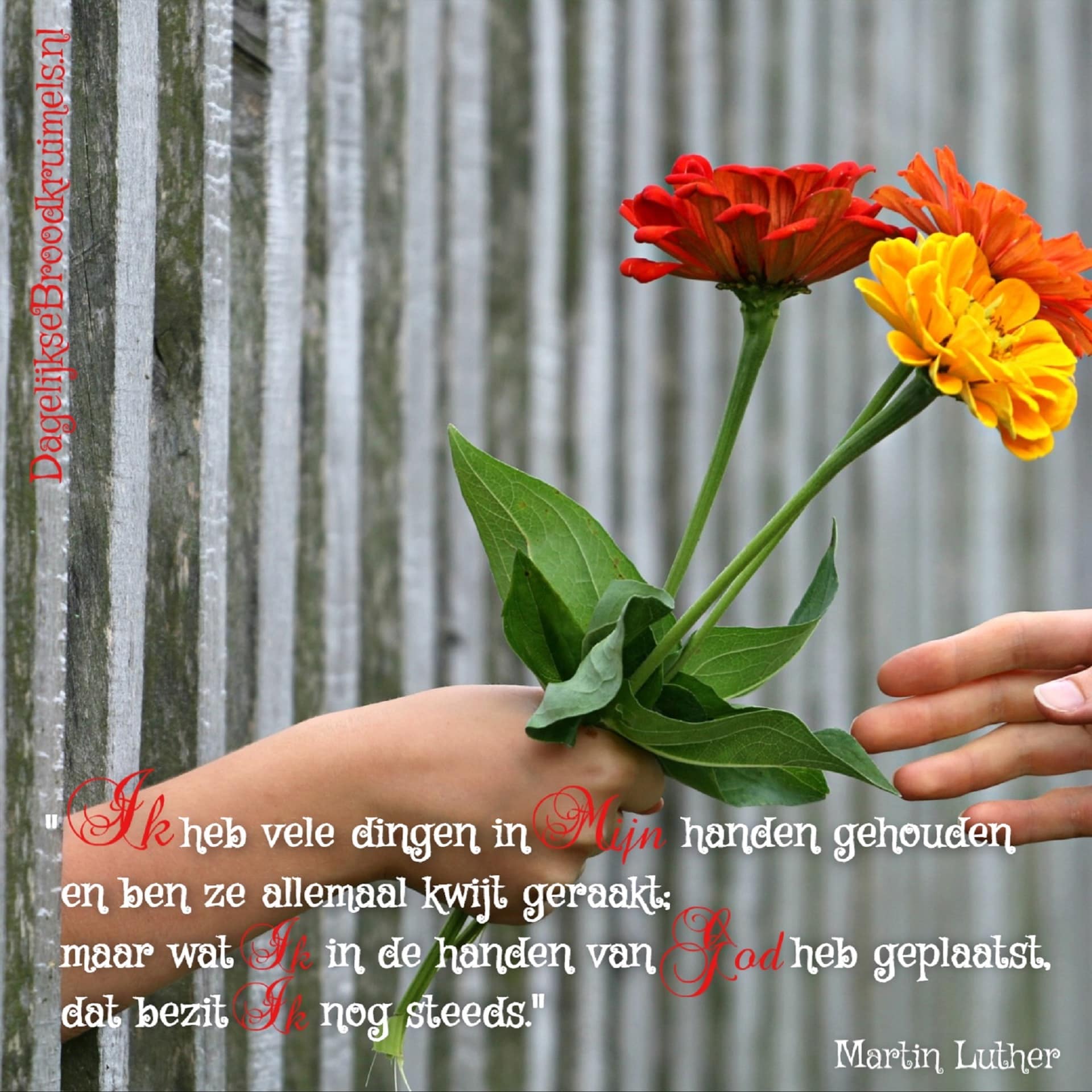 Ik heb vele dingen in mijn handen gehouden Maarten Luther