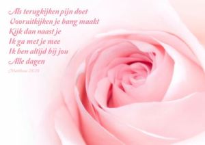 150449_488991991165294_120910116_n