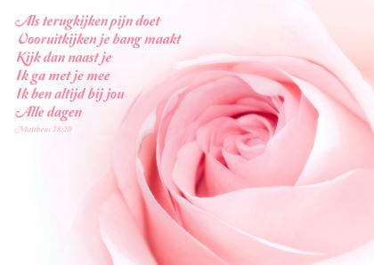 150449_488991991165294_120910116_n