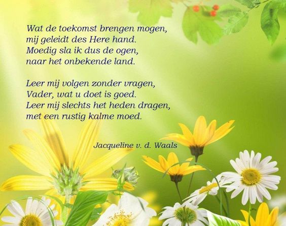 4f5932fd5a2bfab0bba42b6525a7685b