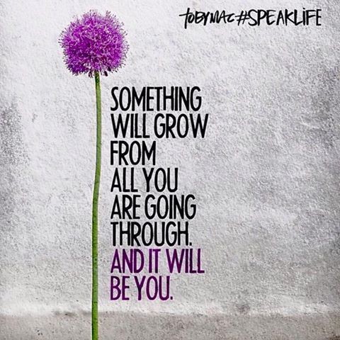 dea21285c9e356190444d2bb8c5039b9