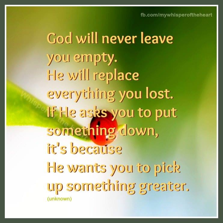 29683495_1760919543970723_5758880420274835053_n