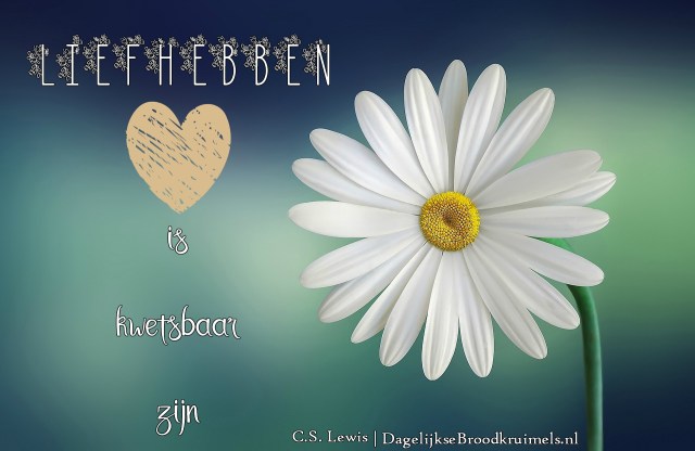 Liefhebben C.S.Lewis
