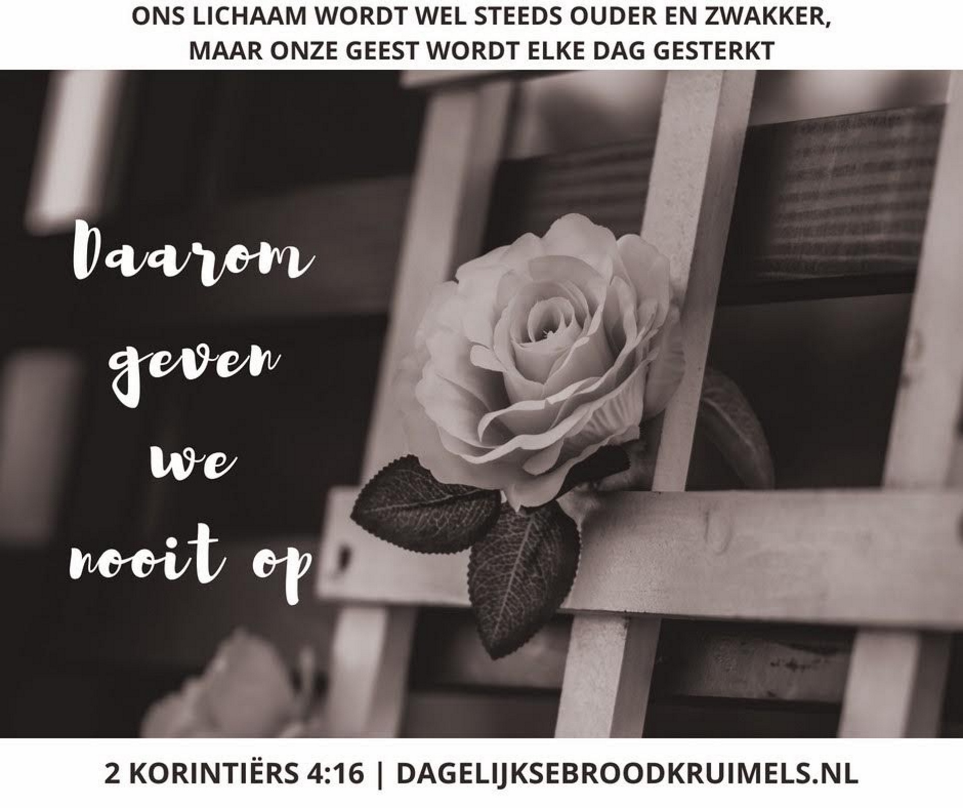 2 Korinthiers 4 vers 16