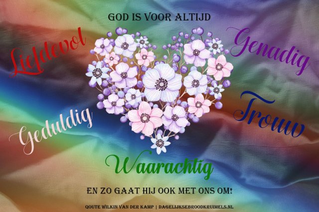 Qoute Wilkin van der Kamp