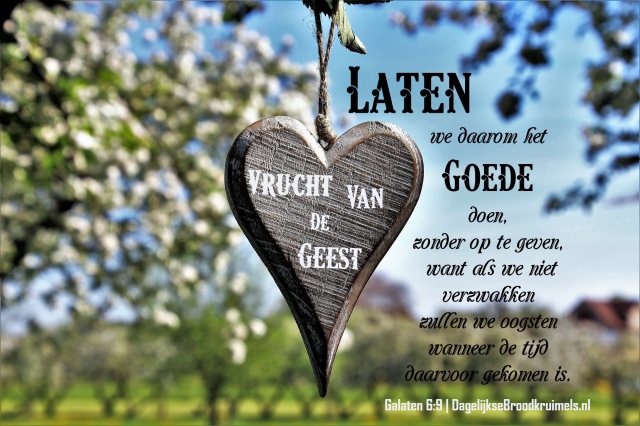 Galaten 6 vers 9