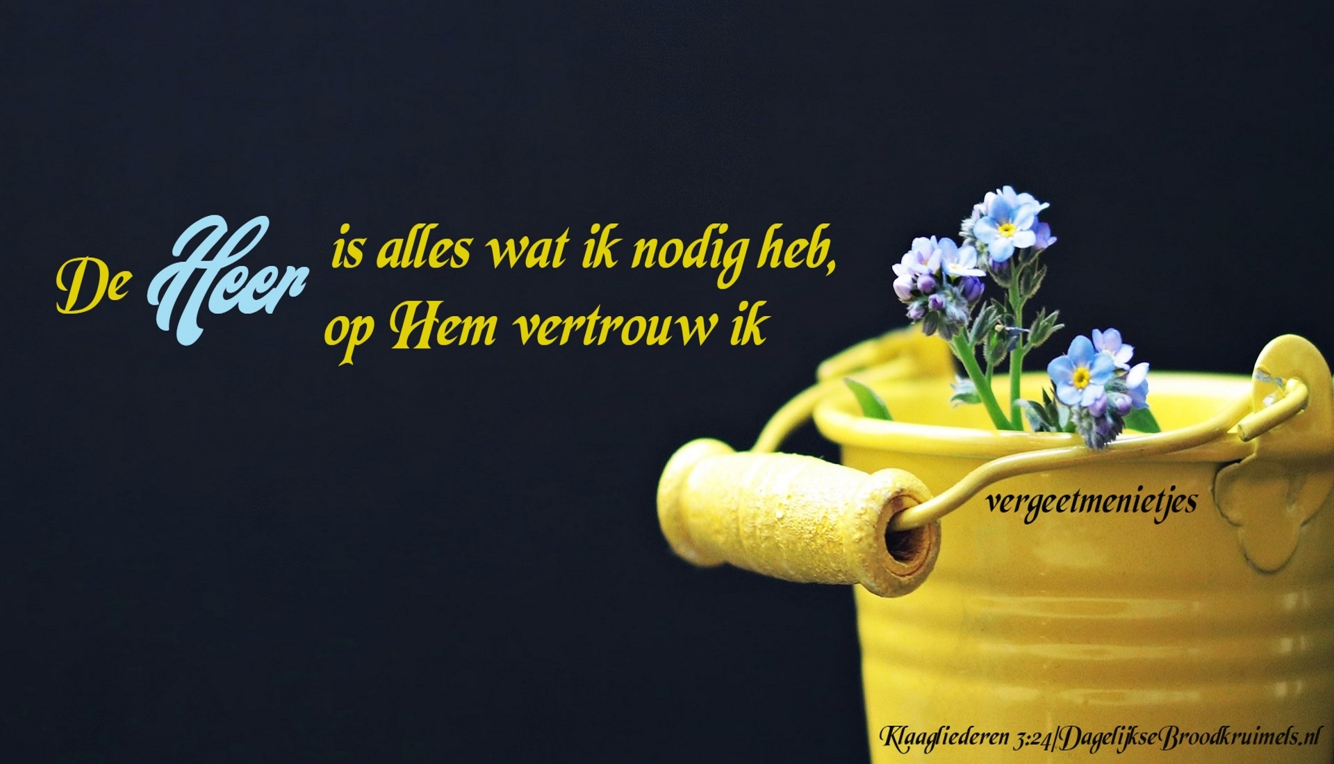 Klaagliederen 3 vers 24