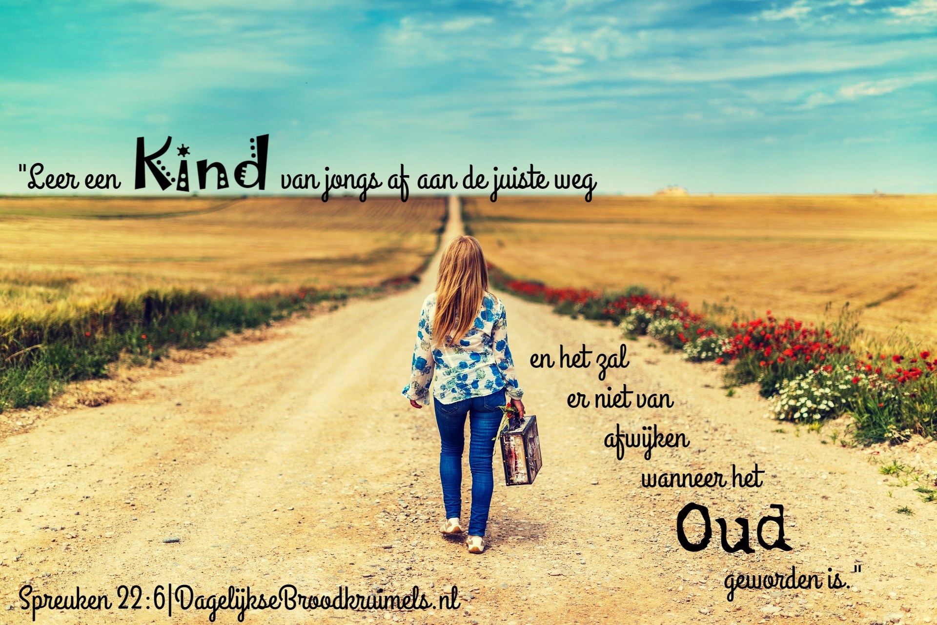 Spreuken 22 vers 6