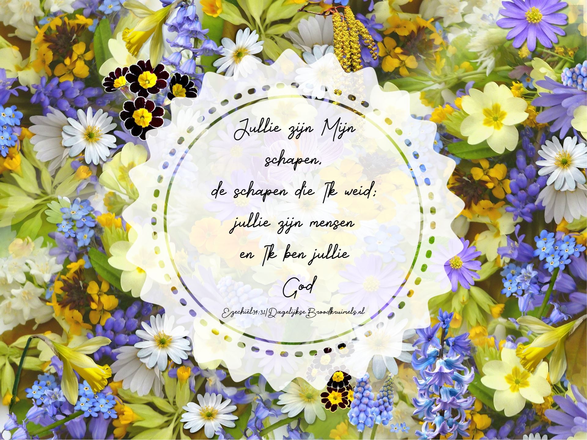 Ezechiël 34 vers 31