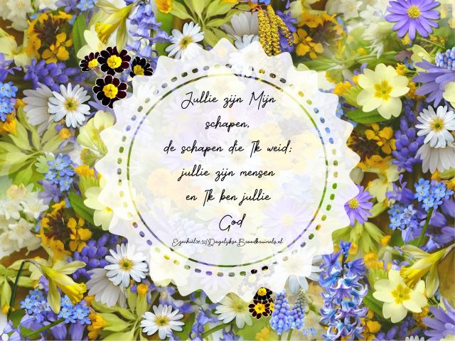 Ezechiël 34 vers 31