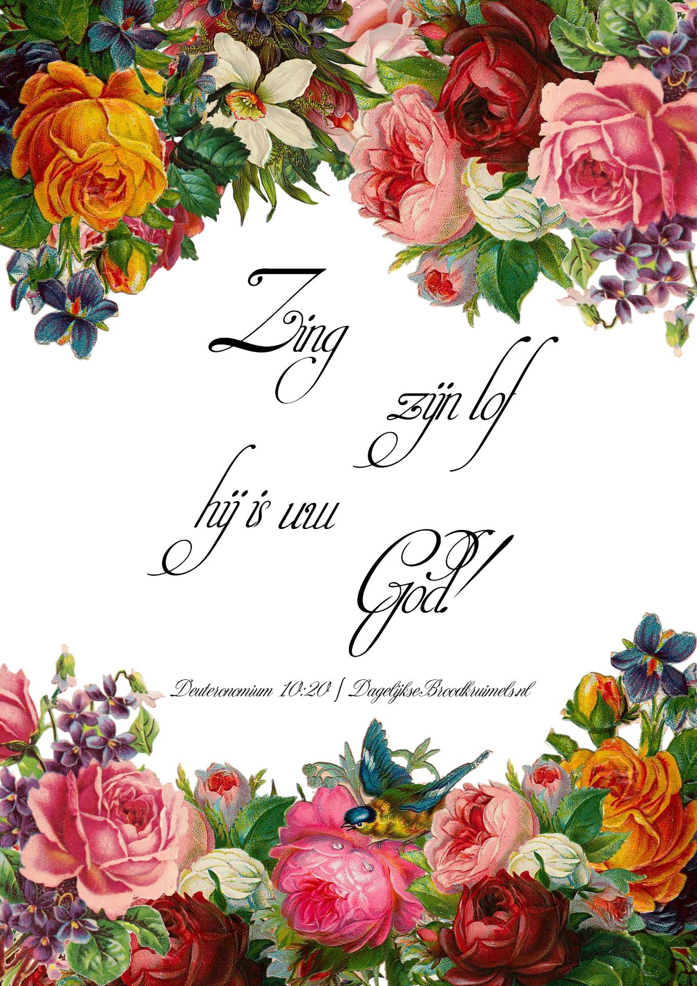 Deuteronomium 10 vers 20