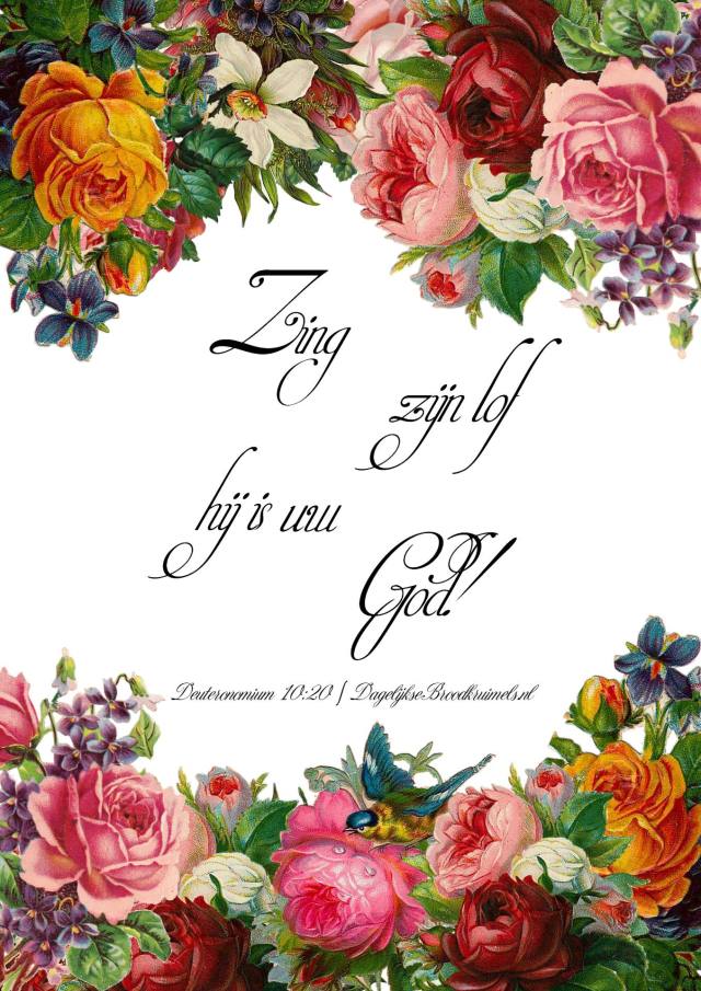 Deuteronomium 10 vers 20